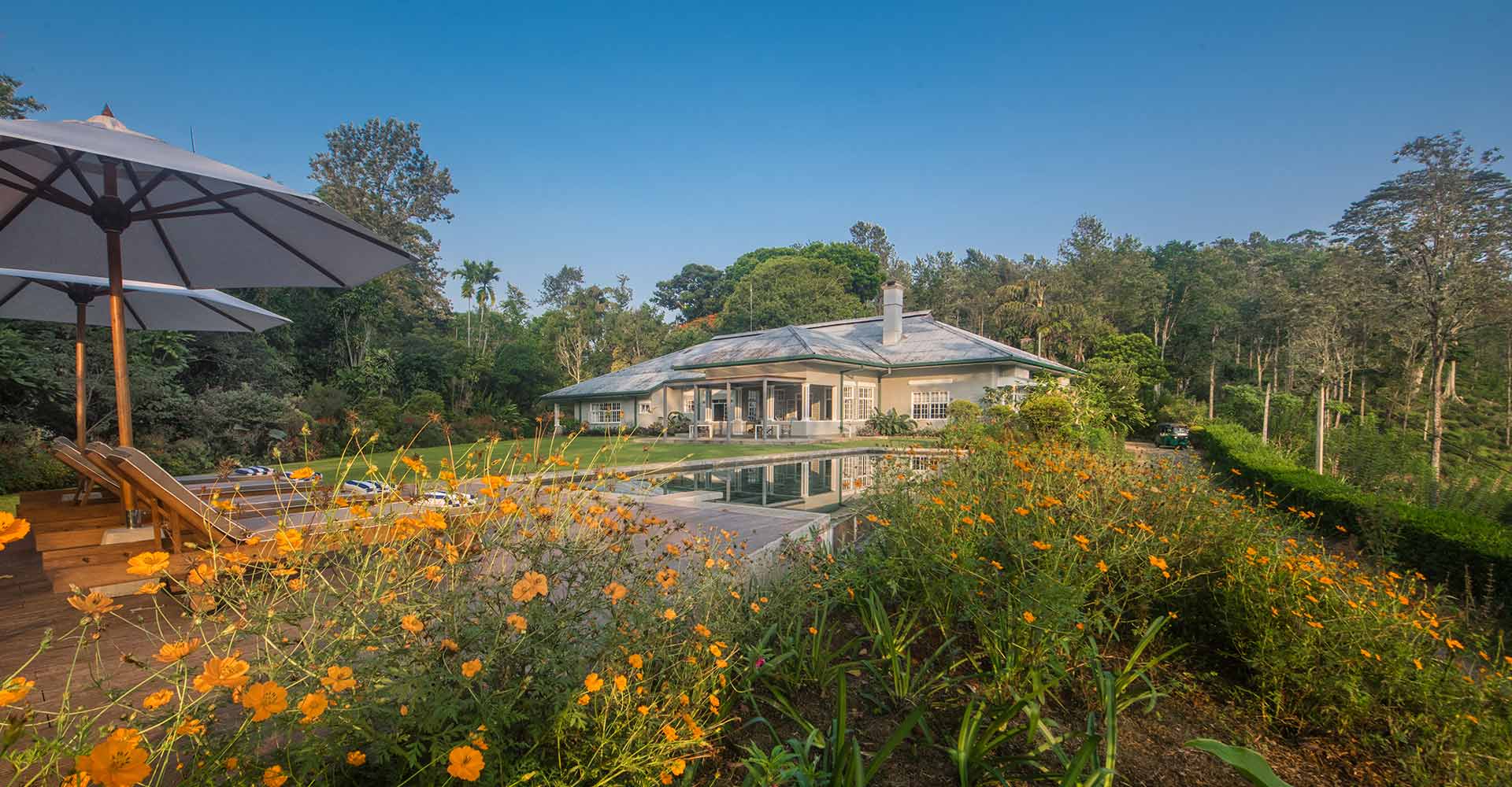 Nine Skies, a luxury holiday bungalow in Ella, Sri Lanka, surrounded by nature and featuring a pool with stunning hillside views.